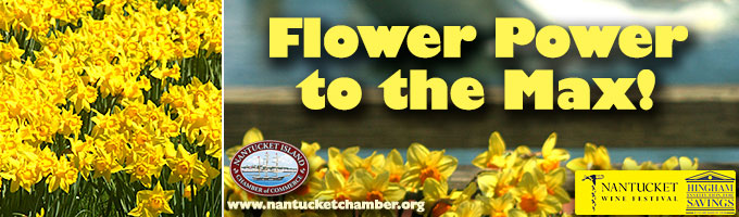 Nantucket Island Chamber of Commerce