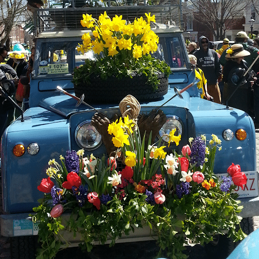 Daffodil Festival Daffodil Festival Nantucket